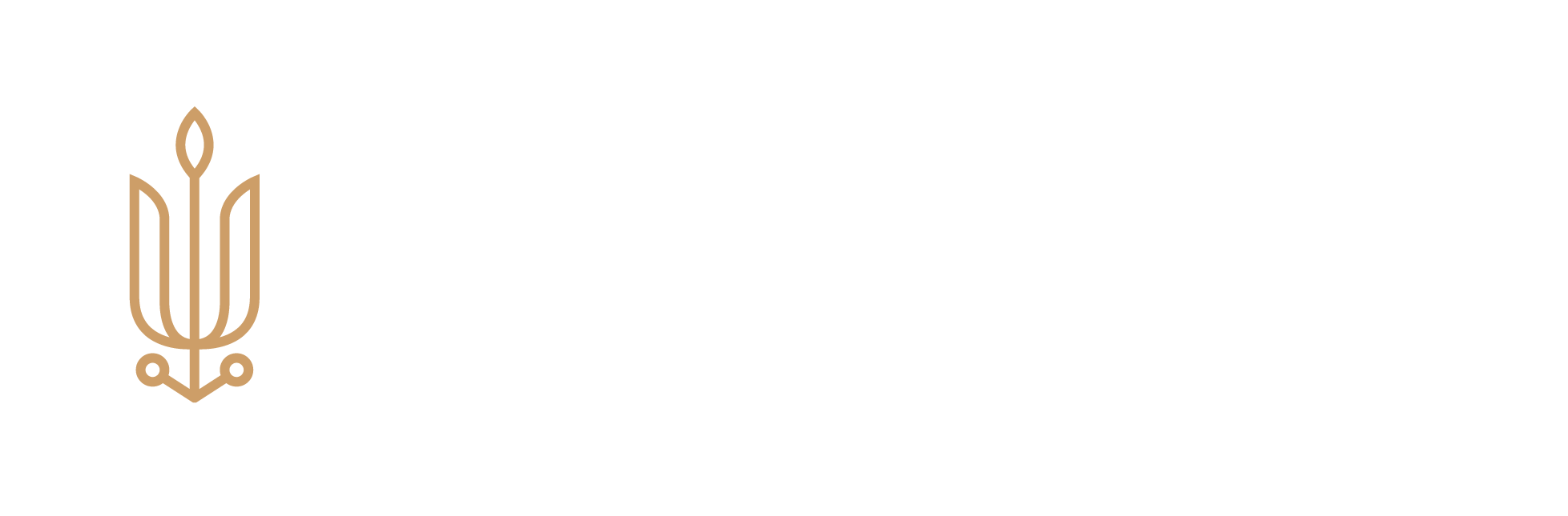 Lux On Wheels Logo